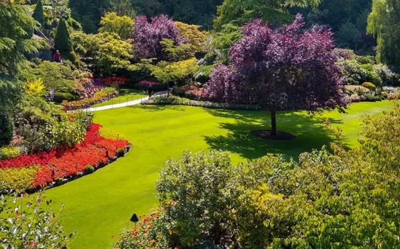 Critical Practices for Maintaining a Healthy Lush Green Landscape in Florida