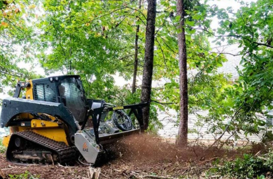 When’s the Best Time for Land Clearing in Florida?